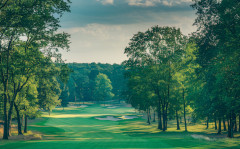 A tree-lined parkland fairway