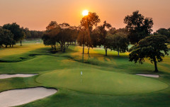 A manicured parkland green surrounded by trees