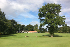 Mature oak tree on a parkland course