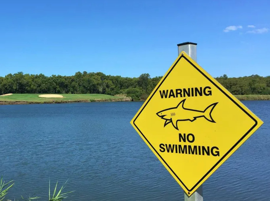The lake at Carbrook Golf Club where bull sharks lived