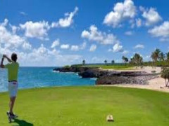 An oceanside par 3 with ocean carry on a tropical resort course