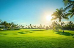 A palm-lined fairway on a tropical resort course