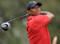 Photo of Tiger Woods (placeholder)